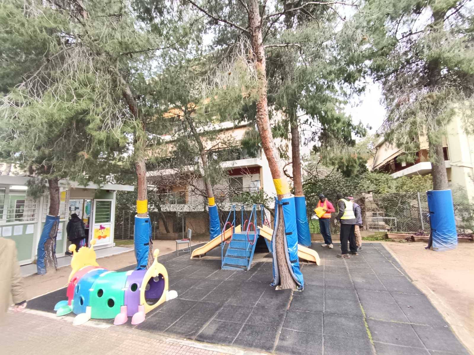 Εκστρατεία πιτυοκάμπη 2026 (2)