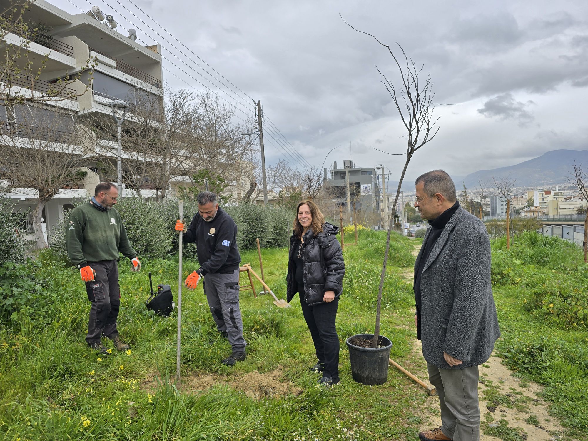 Δεντροφύτευση Ορφέως 2026-03 (1)
