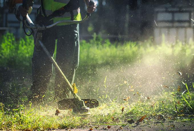 Καθαρισμός οικοπέδων 2026